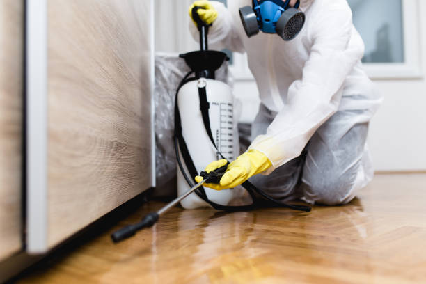 Pest Prevention Services in Plain City, UT