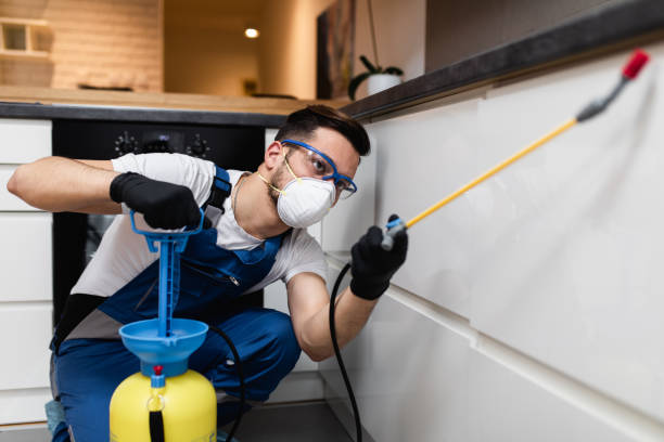 Professional Pest Control in Plain City, UT