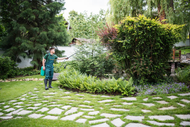 Best Emergency Pest Control  in Plain City, UT