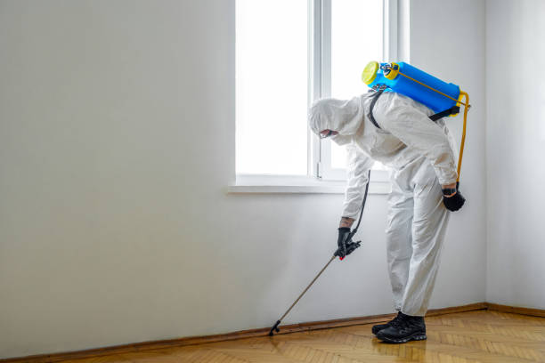 Best Commercial Pest Control Services  in Plain City, UT