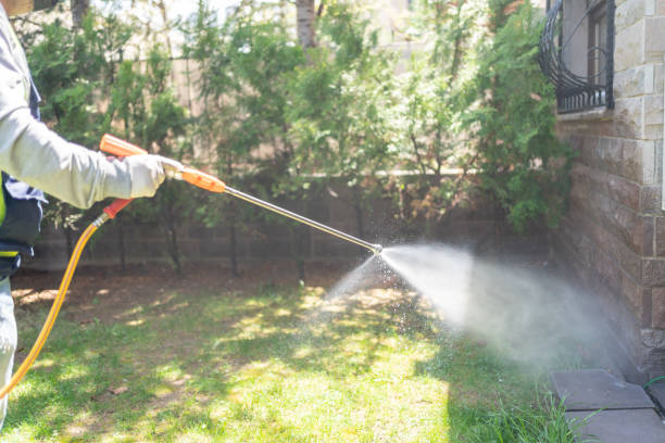 Pest Control Cost in Plain City, UT