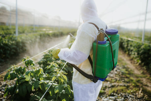 Best Pest Removal Services  in Plain City, UT
